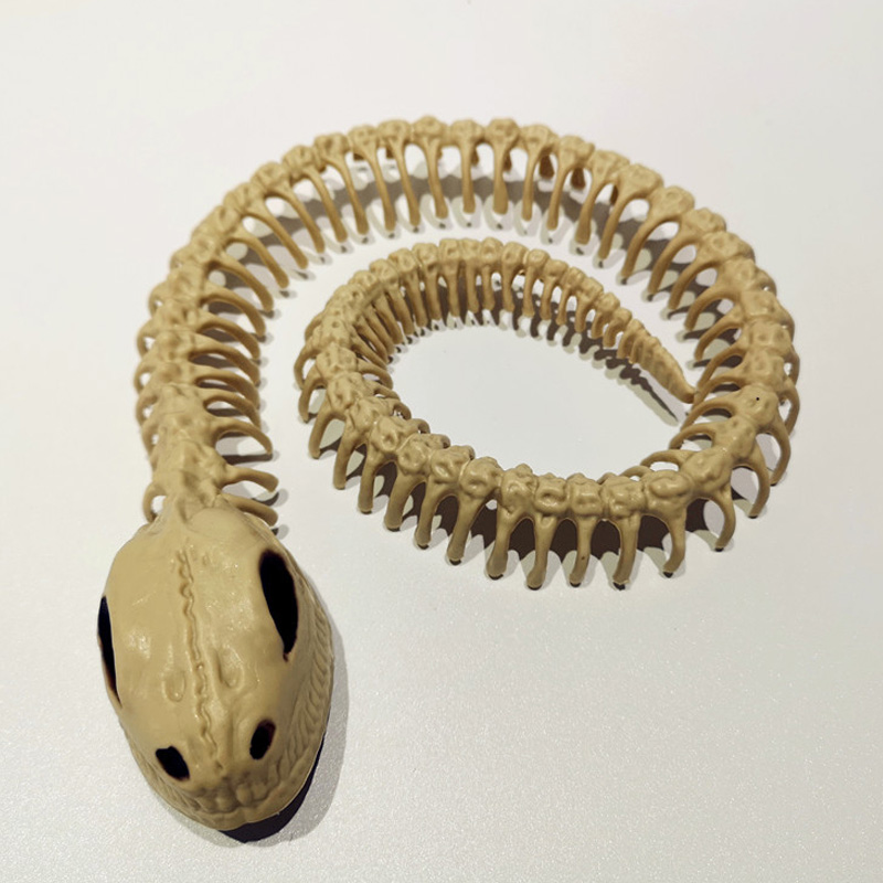 Animal Snake Skeleton Halloween-rekvisiitta
