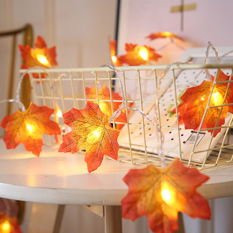 Maple Leaf Lights -jono