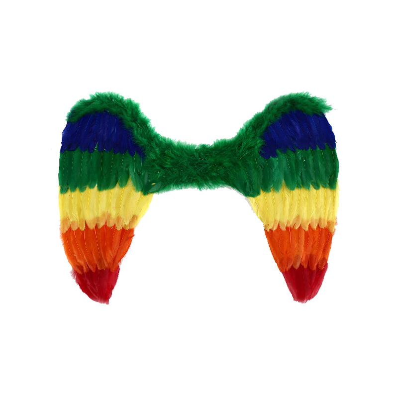 Rainbow Feather Angel Wings -puku